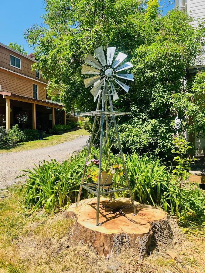 Homesteading At 55 Main